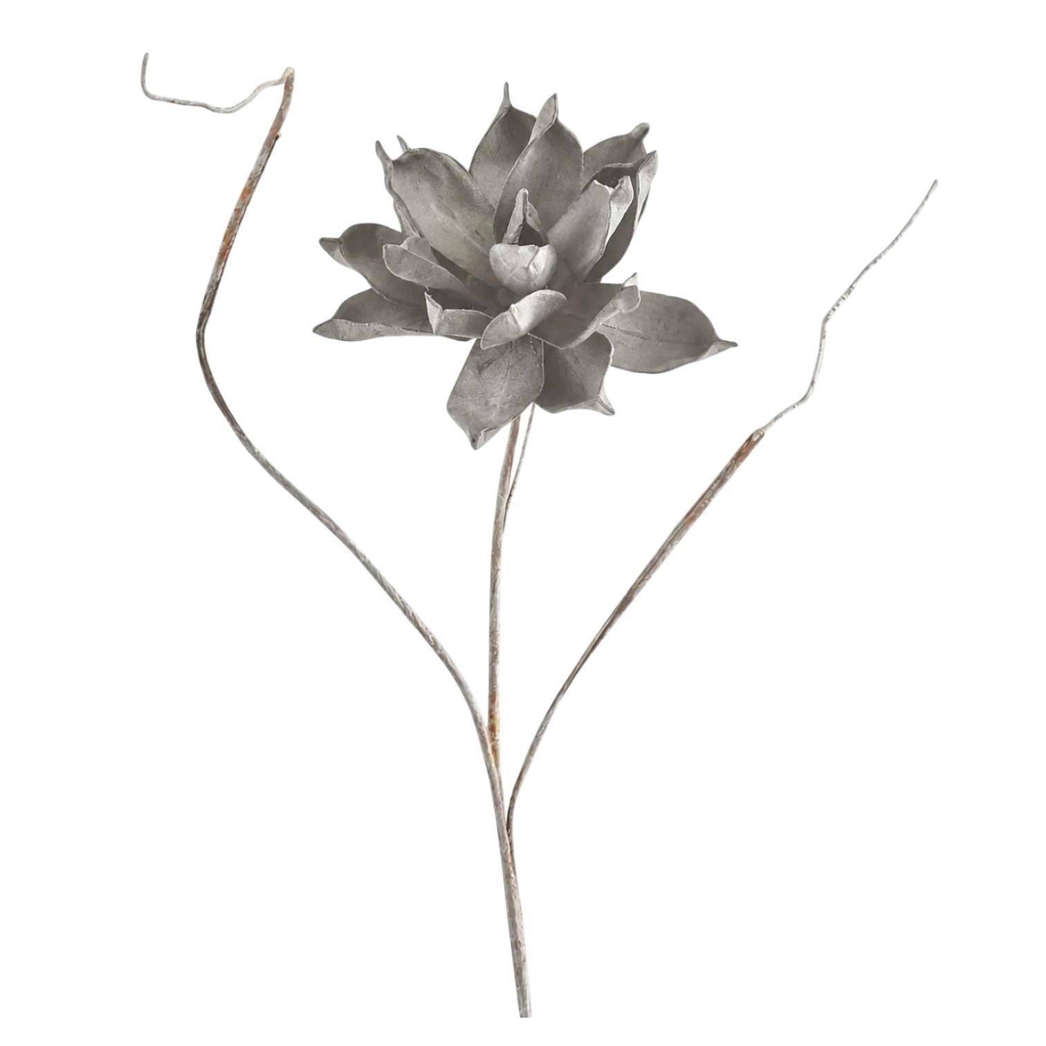 Luimes & Luimes Dekoblume Specials in Grau