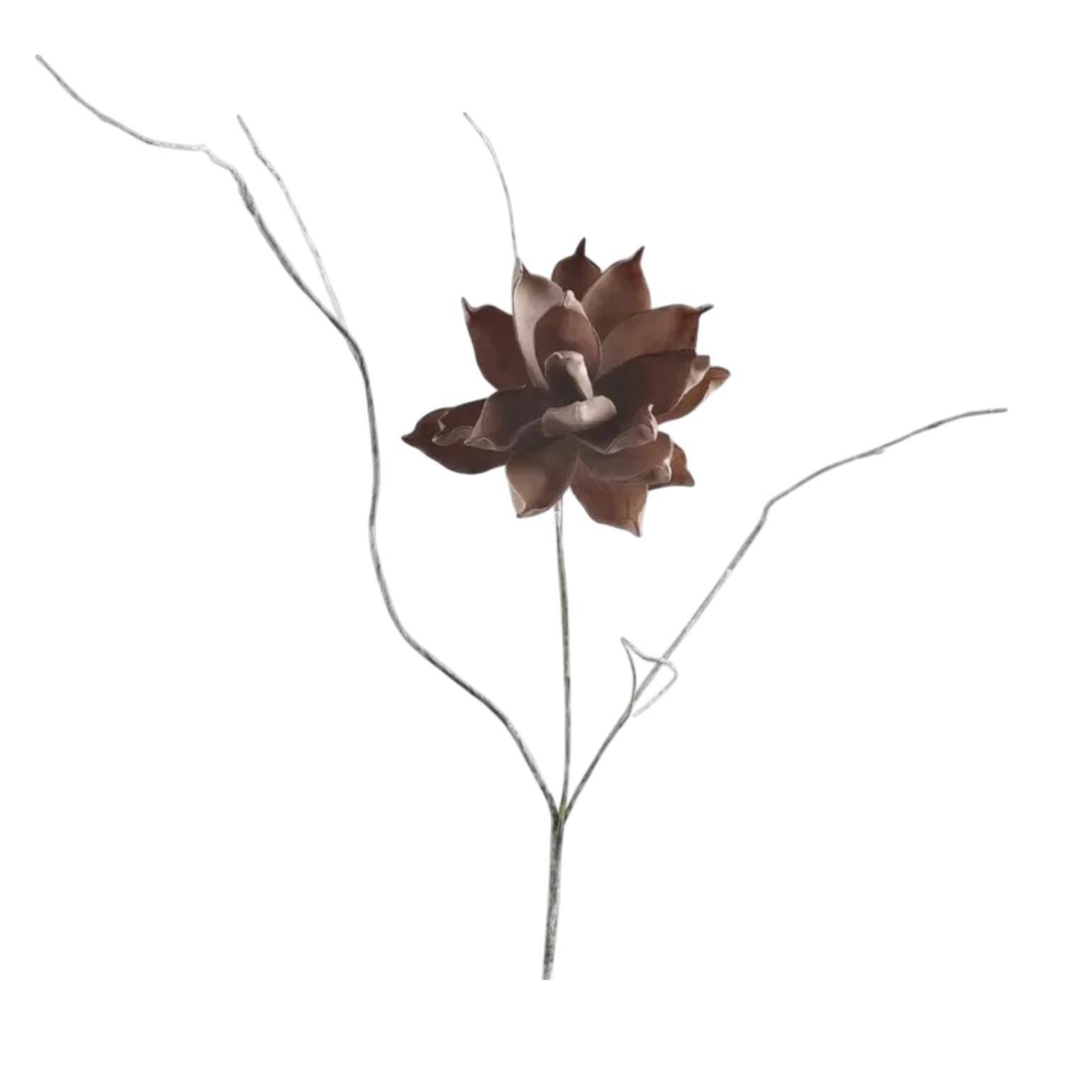 Luimes & Luimes Dekoblume Specials in Kaffee
