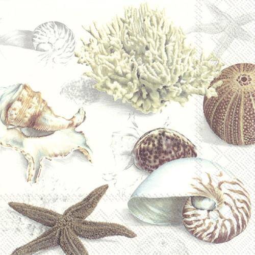 ihr Lunch Servietten Clams in the Sand Cream 33 x 33 cm