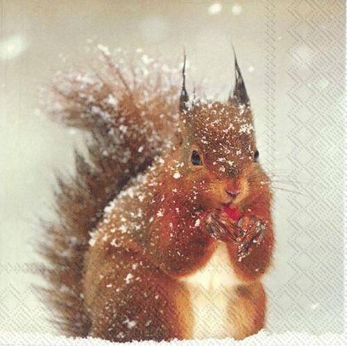 ihr Lunch Servietten Winter Squirrel 33 x 33 cm
