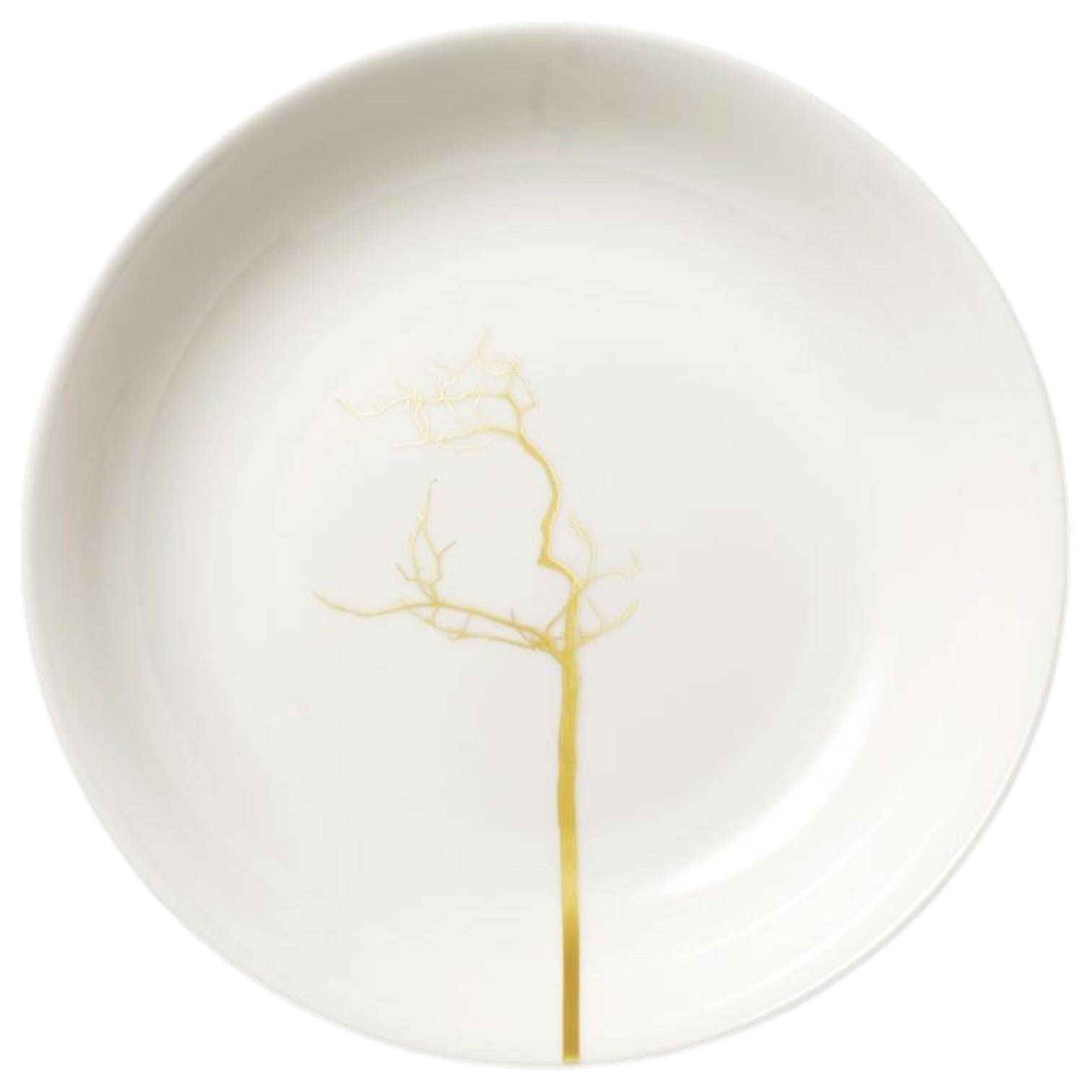  Dibbern Fine Bone China Golden Forest Suppenteller 22,5 cm