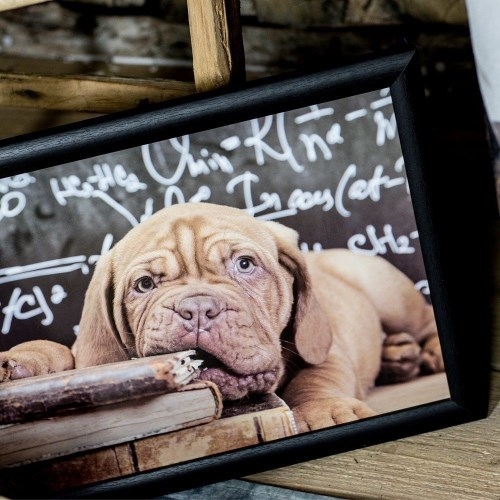 Mars & More Knietablett Hund