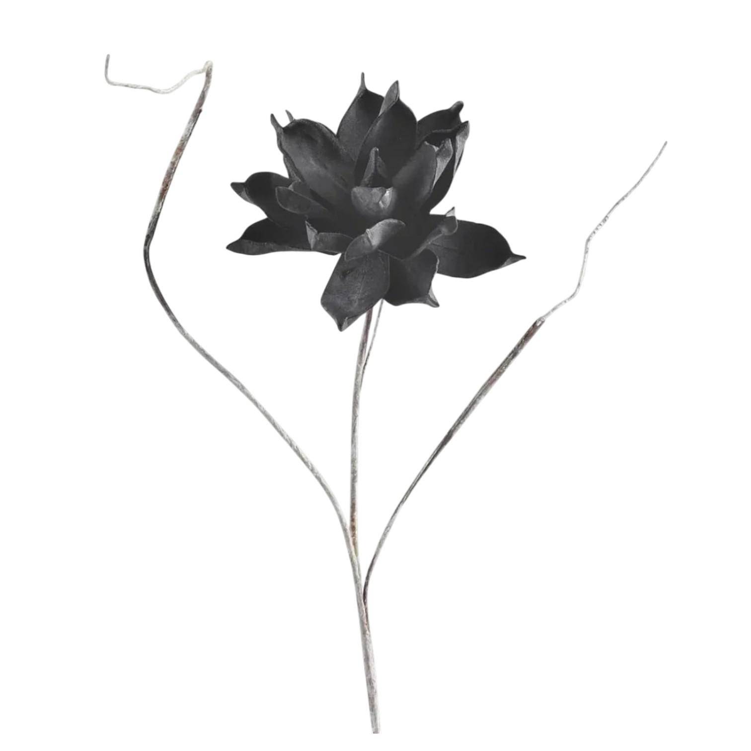 Luimes & Luimes Dekoblume Specials in Schwarz